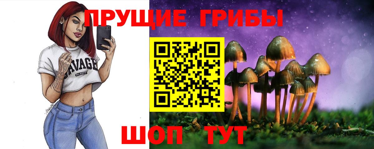 Псилоцибиновые грибы Psilocybe  Вход с VPN  Кыштым 